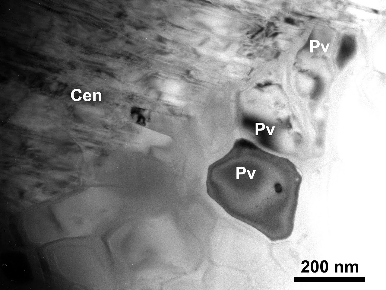Transmission electron micrograph of high-pressure minerals (clinoenstatite and perovskite-structured phase)